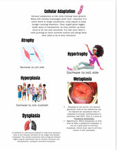 Load image into Gallery viewer, Pathophysiology Study Guide
